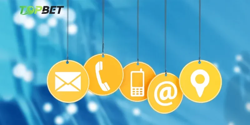 Những kênh liên hệ chính thức và hiệu quả nhất
