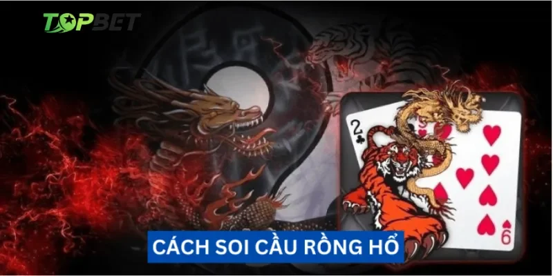 Tổng hợp các loại cầu rồng hổ phổ biến nhất hiện nay